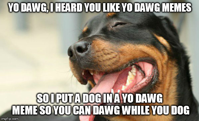 Confused yet? |  YO DAWG, I HEARD YOU LIKE YO DAWG MEMES; SO I PUT A DOG IN A YO DAWG MEME SO YOU CAN DAWG WHILE YOU DOG | image tagged in yo dawg dog | made w/ Imgflip meme maker