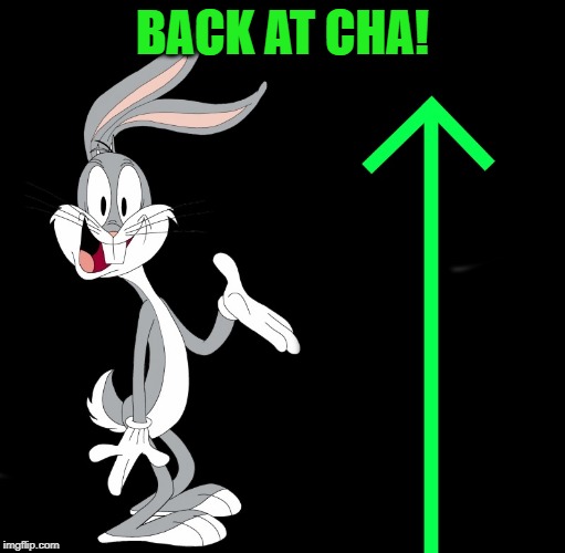 upvote rabbit | BACK AT CHA! | image tagged in upvote rabbit | made w/ Imgflip meme maker