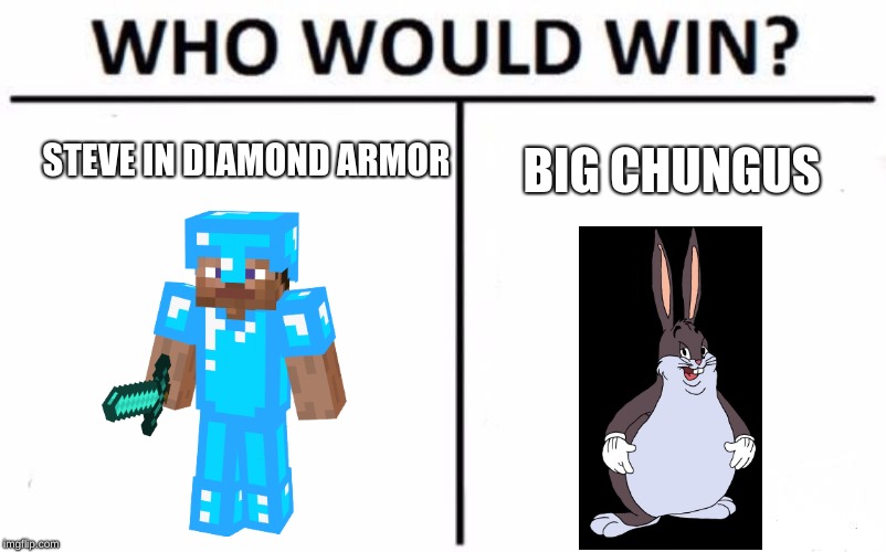 Who Would Win? Meme |  STEVE IN DIAMOND ARMOR; BIG CHUNGUS | image tagged in memes,who would win,funny,funny memes,minecraft steve,big chungus | made w/ Imgflip meme maker