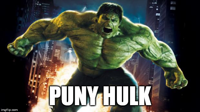 Incredible Hulk | PUNY HULK | image tagged in incredible hulk | made w/ Imgflip meme maker
