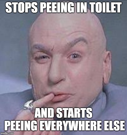 Dr. Evil |  STOPS PEEING IN TOILET; AND STARTS PEEING EVERYWHERE ELSE | image tagged in dr evil | made w/ Imgflip meme maker