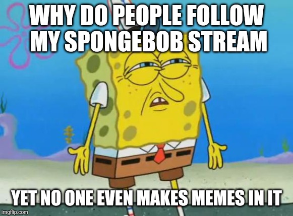 Are you guys idiots?! | WHY DO PEOPLE FOLLOW MY SPONGEBOB STREAM; YET NO ONE EVEN MAKES MEMES IN IT | image tagged in angry spongebob,spongebob,spongebobshipping,idiots | made w/ Imgflip meme maker