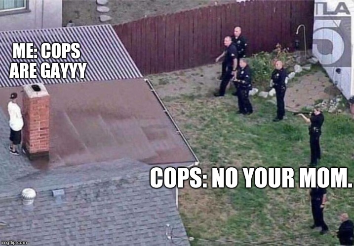 Fortnite meme |  ME: COPS ARE GAYYY; COPS: NO YOUR MOM. | image tagged in fortnite meme | made w/ Imgflip meme maker