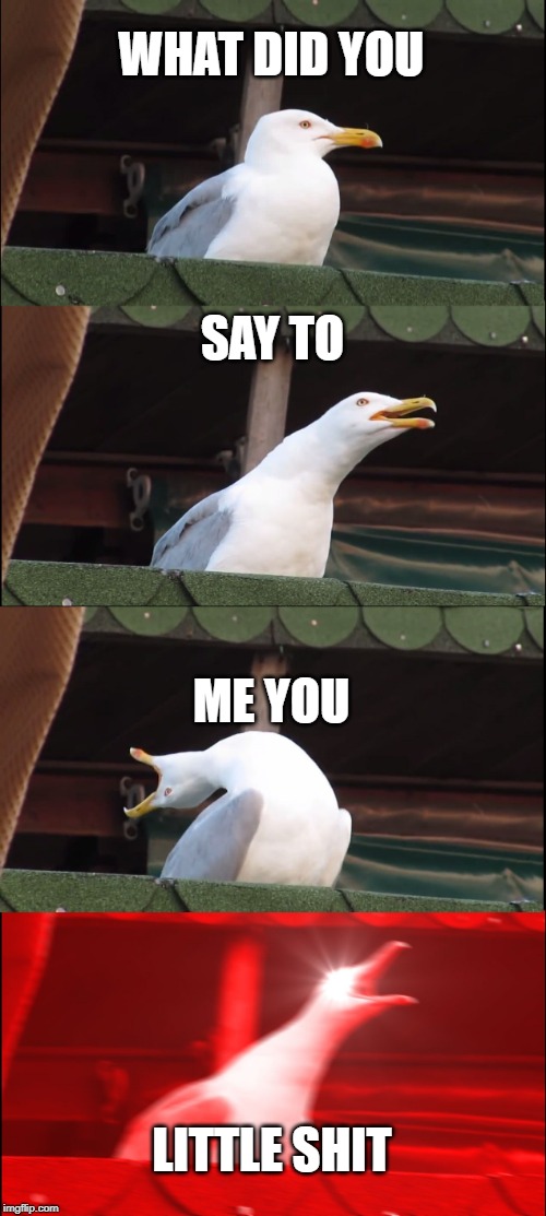 Inhaling Seagull | WHAT DID YOU; SAY TO; ME YOU; LITTLE SHIT | image tagged in memes,inhaling seagull | made w/ Imgflip meme maker