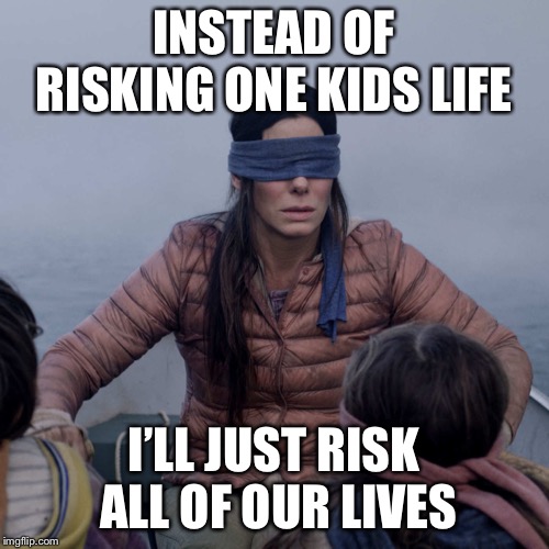 Bird Box Meme | INSTEAD OF RISKING ONE KIDS LIFE; I’LL JUST RISK ALL OF OUR LIVES | image tagged in memes,bird box | made w/ Imgflip meme maker