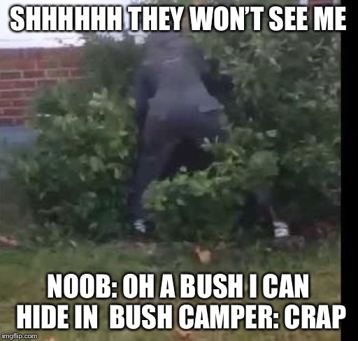 fortnit bush | SHHHHHH THEY WON’T SEE ME; NOOB: OH A BUSH I CAN HIDE IN 
BUSH CAMPER: CRAP | image tagged in fortnit bush | made w/ Imgflip meme maker