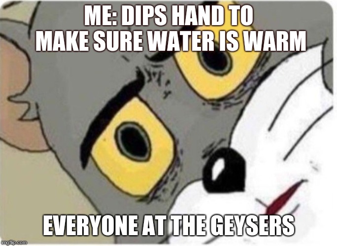 Tom and Jerry meme | ME: DIPS HAND TO MAKE SURE WATER IS WARM; EVERYONE AT THE GEYSERS | image tagged in tom and jerry meme | made w/ Imgflip meme maker