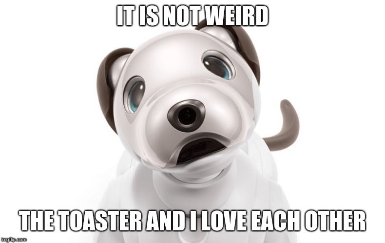 Love who you want | IT IS NOT WEIRD; THE TOASTER AND I LOVE EACH OTHER | image tagged in confused robot dog,robot love,don't judge,robot uprising | made w/ Imgflip meme maker