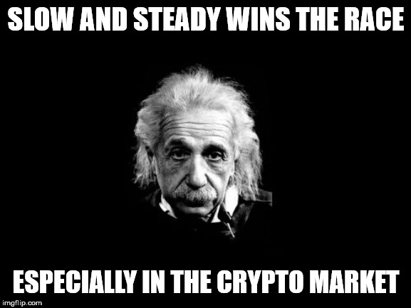 Albert Einstein 1 Meme | SLOW AND STEADY WINS THE RACE; ESPECIALLY IN THE CRYPTO MARKET | image tagged in memes,albert einstein 1 | made w/ Imgflip meme maker