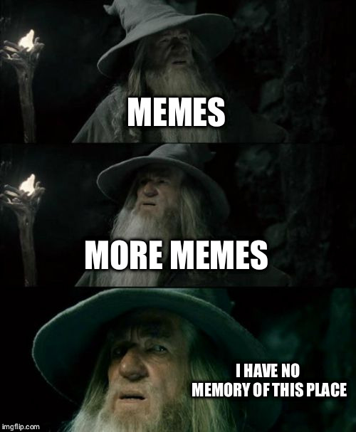 Confused Gandalf Meme | MEMES; MORE MEMES; I HAVE NO MEMORY OF THIS PLACE | image tagged in memes,confused gandalf,Conservative | made w/ Imgflip meme maker