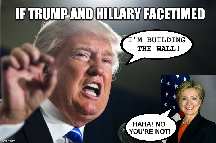 donald trump | IF TRUMP AND HILLARY FACETIMED; I'M BUILDING THE WALL! HAHA! NO YOU'RE NOT! | image tagged in donald trump | made w/ Imgflip meme maker