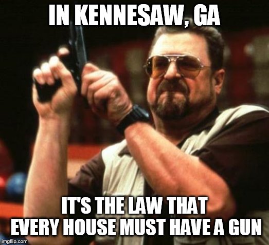 gun | IN KENNESAW, GA; IT'S THE LAW THAT EVERY HOUSE MUST HAVE A GUN | image tagged in gun | made w/ Imgflip meme maker