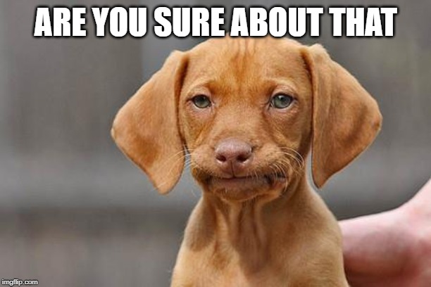 Dissapointed puppy | ARE YOU SURE ABOUT THAT | image tagged in dissapointed puppy | made w/ Imgflip meme maker