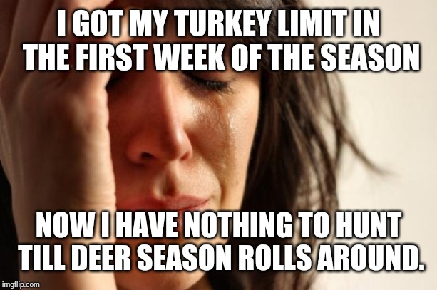 First World Problems Meme | I GOT MY TURKEY LIMIT IN THE FIRST WEEK OF THE SEASON; NOW I HAVE NOTHING TO HUNT TILL DEER SEASON ROLLS AROUND. | image tagged in memes,first world problems,Hunting | made w/ Imgflip meme maker