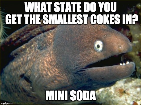 Bad Joke Eel Meme | WHAT STATE DO YOU GET THE SMALLEST COKES IN? MINI SODA | image tagged in memes,bad joke eel | made w/ Imgflip meme maker