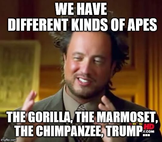 Ancient Aliens Meme | WE HAVE DIFFERENT KINDS OF APES; THE GORILLA, THE MARMOSET, THE CHIMPANZEE, TRUMP... | image tagged in memes,ancient aliens | made w/ Imgflip meme maker