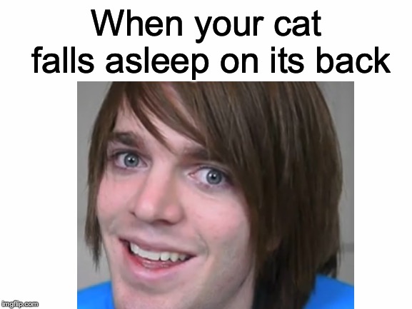 Shane Dawson loves his cat...a little too much, perhaps! | When your cat falls asleep on its back | image tagged in memes,funny,dank memes,cats,shane dawson,youtubers | made w/ Imgflip meme maker