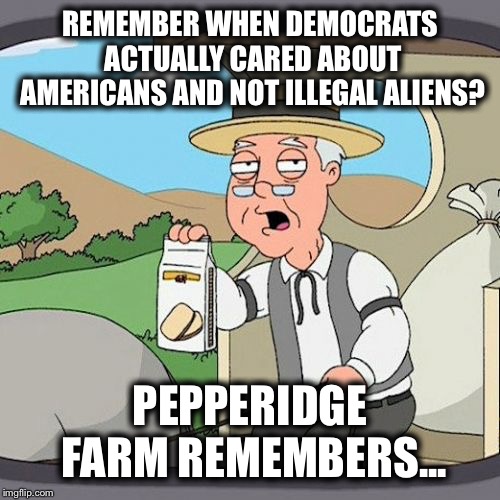 Pepperidge Farm Remembers | REMEMBER WHEN DEMOCRATS ACTUALLY CARED ABOUT AMERICANS AND NOT ILLEGAL ALIENS? PEPPERIDGE FARM REMEMBERS... | image tagged in memes,pepperidge farm remembers,democrats,illegal immigration,migrant caravan,democratic party | made w/ Imgflip meme maker