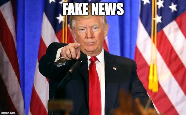 Trump Fake News | FAKE NEWS | image tagged in trump fake news | made w/ Imgflip meme maker