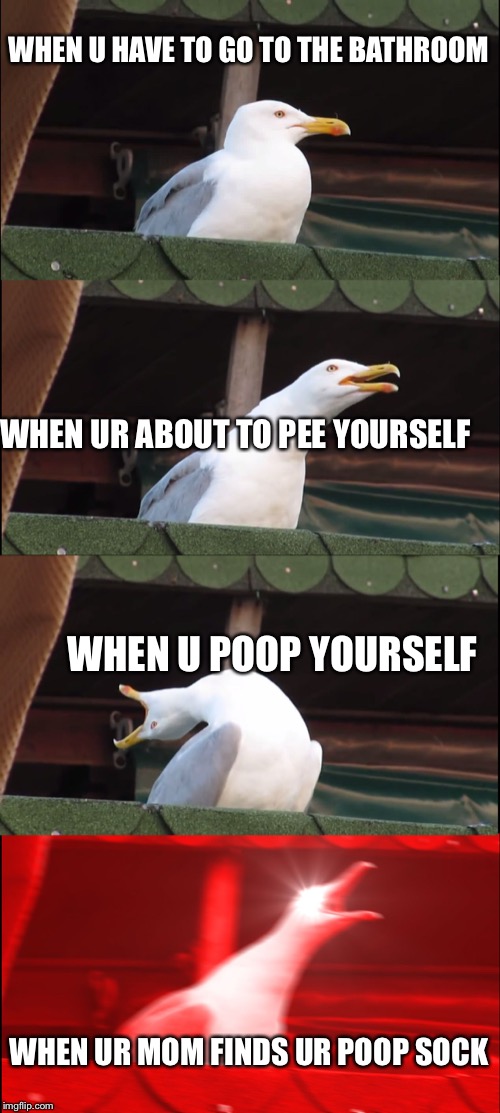 Inhaling Seagull Meme | WHEN U HAVE TO GO TO THE BATHROOM; WHEN UR ABOUT TO PEE YOURSELF; WHEN U POOP YOURSELF; WHEN UR MOM FINDS UR POOP SOCK | image tagged in memes,inhaling seagull | made w/ Imgflip meme maker