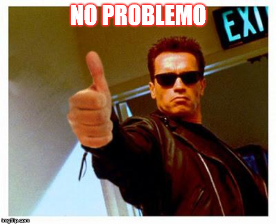 terminator thumbs up | NO PROBLEMO | image tagged in terminator thumbs up | made w/ Imgflip meme maker