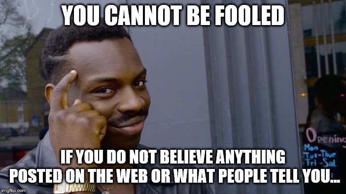 Roll Safe Think About It | YOU CANNOT BE FOOLED; IF YOU DO NOT BELIEVE ANYTHING POSTED ON THE WEB OR WHAT PEOPLE TELL YOU... | image tagged in memes,roll safe think about it | made w/ Imgflip meme maker