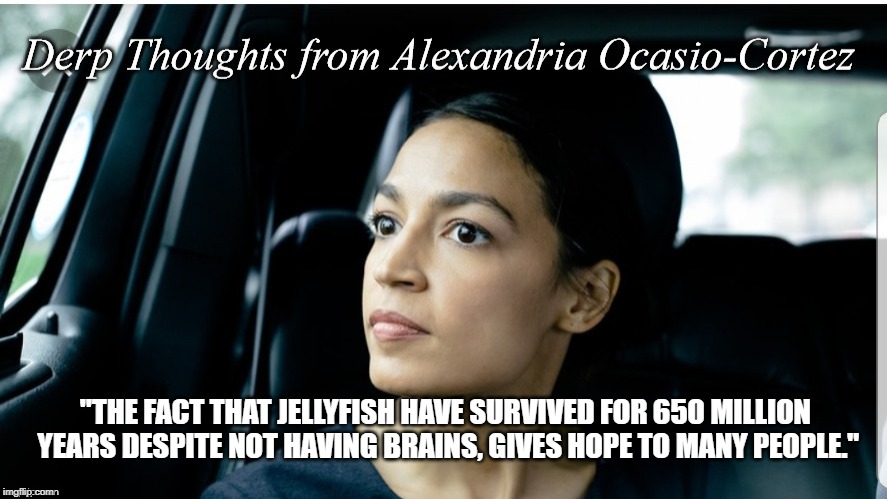 Derp Thoughts from AOC | "THE FACT THAT JELLYFISH HAVE SURVIVED FOR 650 MILLION YEARS DESPITE NOT HAVING BRAINS, GIVES HOPE TO MANY PEOPLE." | image tagged in derp thoughts from aoc | made w/ Imgflip meme maker