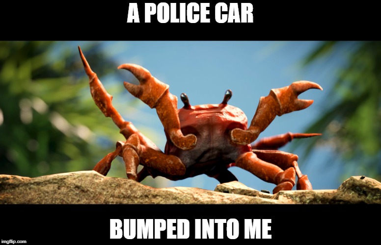 Crab rave, crab | A POLICE CAR; BUMPED INTO ME | image tagged in crab rave crab | made w/ Imgflip meme maker