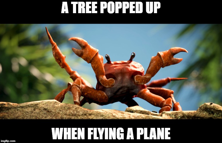 Crab rave, crab | A TREE POPPED UP; WHEN FLYING A PLANE | image tagged in crab rave crab | made w/ Imgflip meme maker