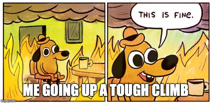 This Is Fine Meme | ME GOING UP A TOUGH CLIMB | image tagged in this is fine dog | made w/ Imgflip meme maker