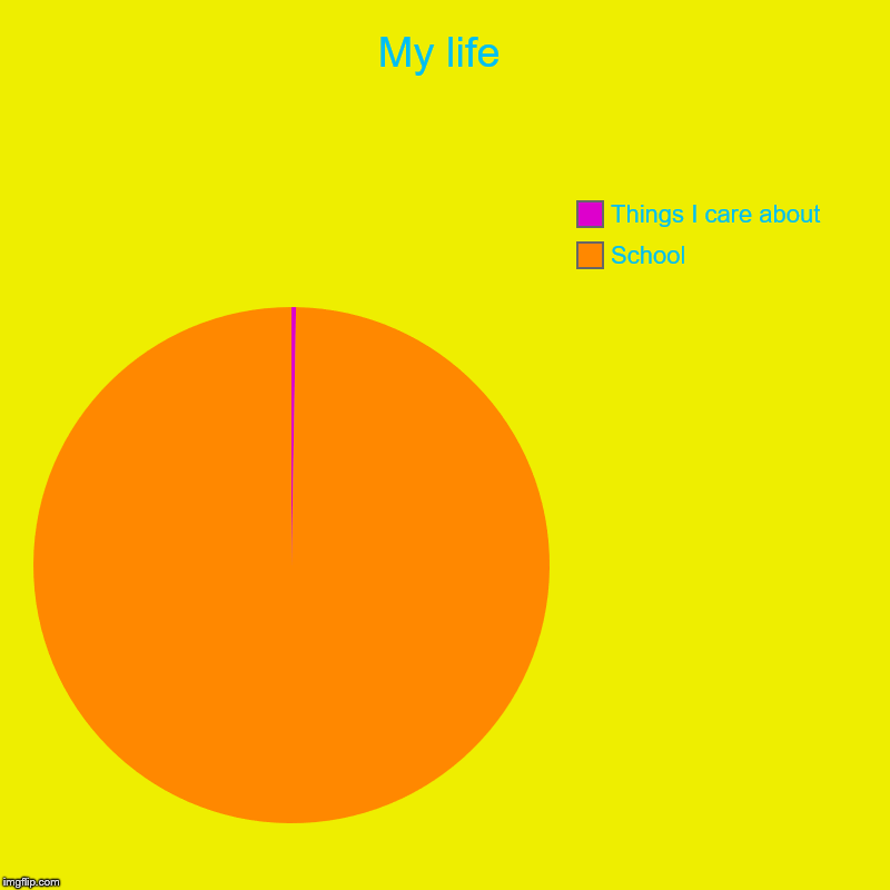 My life | School, Things I care about | image tagged in charts,pie charts | made w/ Imgflip chart maker