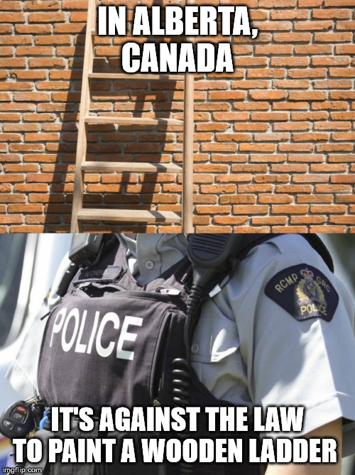 Ludicrous Laws Week - April 1 to April 7 | IN ALBERTA, CANADA; IT'S AGAINST THE LAW TO PAINT A WOODEN LADDER | image tagged in ladder,alberta,canada,strange laws,funny memes | made w/ Imgflip meme maker