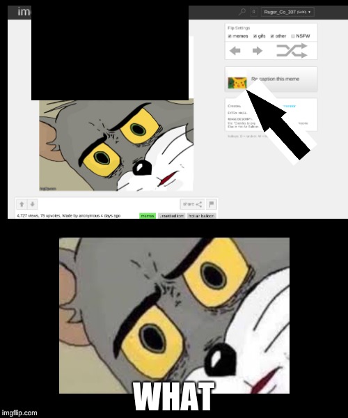 What | WHAT | image tagged in tom and jerry | made w/ Imgflip meme maker