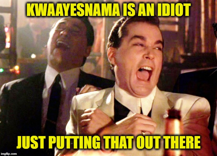 Good Fellas Hilarious Meme | KWAAYESNAMA IS AN IDIOT JUST PUTTING THAT OUT THERE | image tagged in memes,good fellas hilarious | made w/ Imgflip meme maker