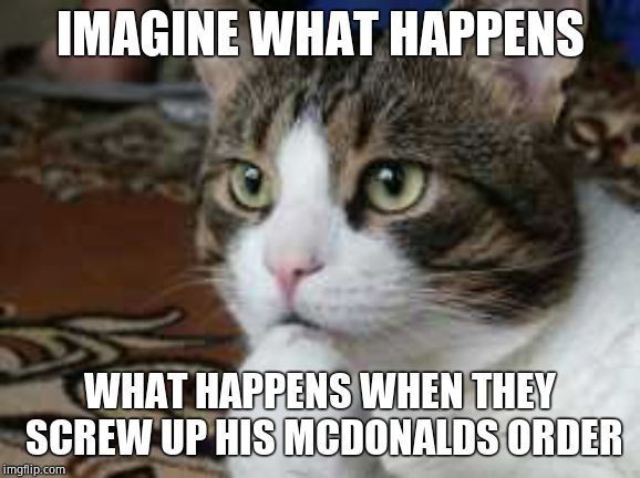 Ponder cat | IMAGINE WHAT HAPPENS WHAT HAPPENS WHEN THEY SCREW UP HIS MCDONALDS ORDER | image tagged in ponder cat | made w/ Imgflip meme maker