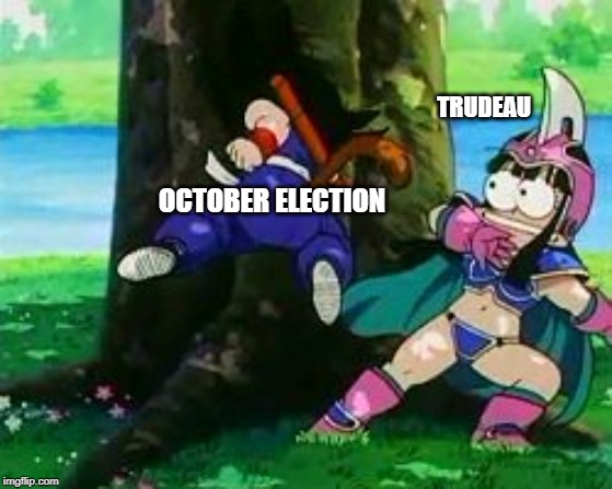 Muppet-face Chichi | OCTOBER ELECTION TRUDEAU | image tagged in muppet-face chichi | made w/ Imgflip meme maker