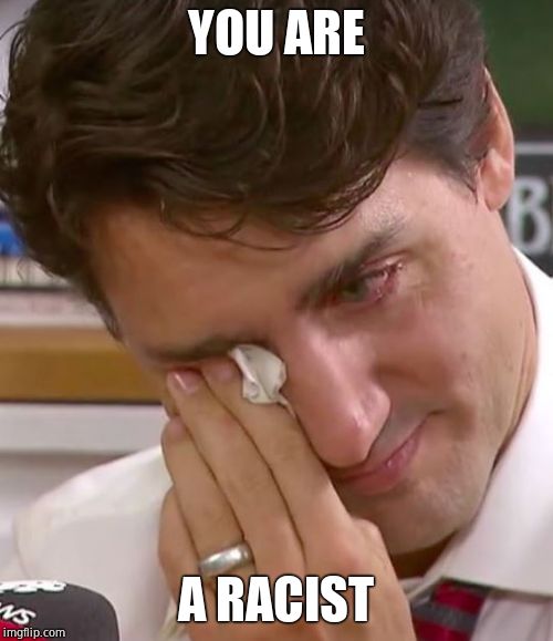 Justin Trudeau Crying | YOU ARE A RACIST | image tagged in justin trudeau crying | made w/ Imgflip meme maker