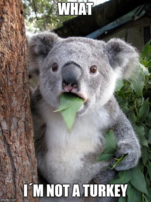Surprised Koala Meme | WHAT; I´M NOT A TURKEY | image tagged in memes,surprised koala | made w/ Imgflip meme maker