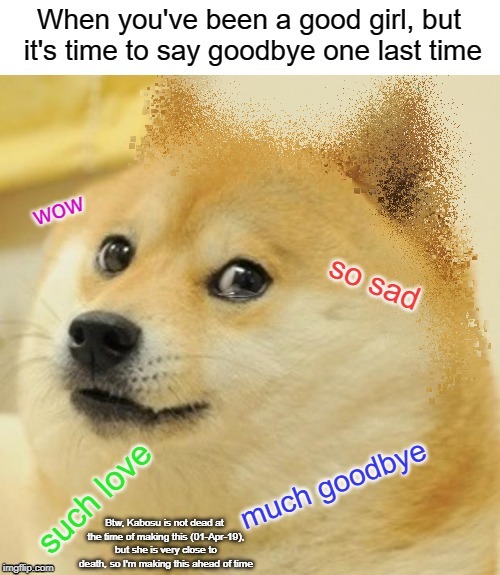 This is so sad, Alexa, say goodbye to Kabosu =( | Btw, Kabosu is not dead at the time of making this (01-Apr-19), but she is very close to death, so I'm making this ahead of time | image tagged in doge,sad,thanos snap,goodbye kabosu,sad meme,not funny | made w/ Imgflip meme maker