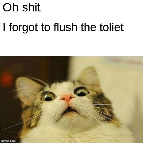 Surprised Pikachu Meme | Oh shit; I forgot to flush the toliet | image tagged in memes,surprised pikachu | made w/ Imgflip meme maker