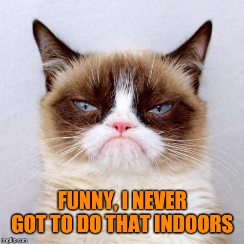 Grumpy Cat Outside | FUNNY, I NEVER GOT TO DO THAT INDOORS | image tagged in grumpy cat outside | made w/ Imgflip meme maker