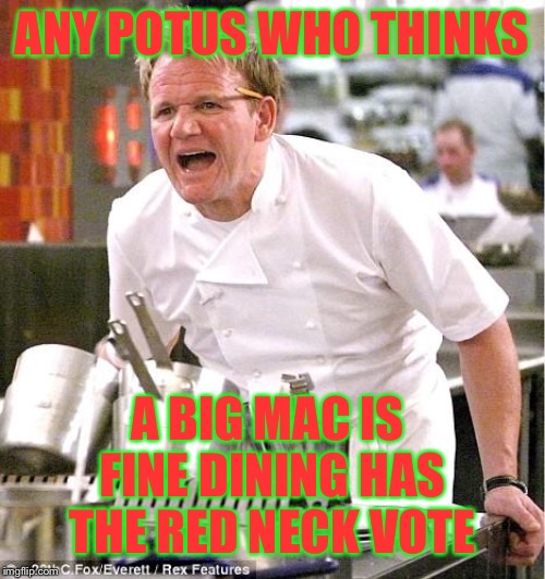 Chef Gordon Ramsay | ANY POTUS WHO THINKS; A BIG MAC IS FINE DINING HAS THE RED NECK VOTE | image tagged in memes,chef gordon ramsay | made w/ Imgflip meme maker