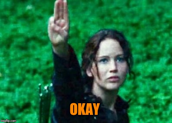 Katniss salute | OKAY | image tagged in katniss salute | made w/ Imgflip meme maker