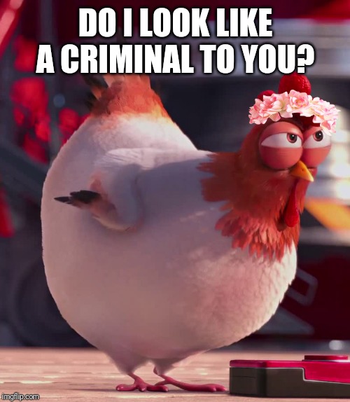 evil chicken | DO I LOOK LIKE A CRIMINAL TO YOU? | image tagged in evil chicken | made w/ Imgflip meme maker