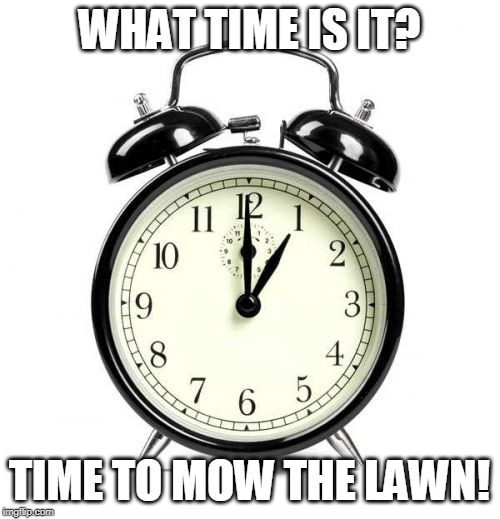 Alarm Clock Meme | WHAT TIME IS IT? TIME TO MOW THE LAWN! | image tagged in memes,alarm clock | made w/ Imgflip meme maker
