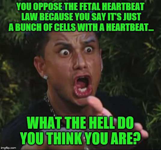 Pauly d yelling  | YOU OPPOSE THE FETAL HEARTBEAT LAW BECAUSE YOU SAY IT'S JUST A BUNCH OF CELLS WITH A HEARTBEAT... WHAT THE HELL DO YOU THINK YOU ARE? | image tagged in pauly d yelling | made w/ Imgflip meme maker