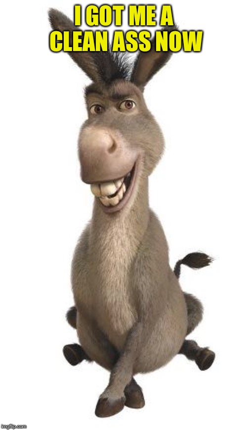 Donkey from Shrek | I GOT ME A CLEAN ASS NOW | image tagged in donkey from shrek | made w/ Imgflip meme maker