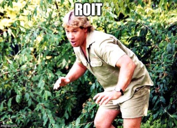 Crocodile Hunter Steve Irwin | ROIT | image tagged in crocodile hunter steve irwin | made w/ Imgflip meme maker