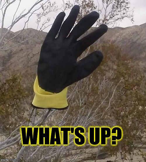 thought I would give you a hand | WHAT'S UP? | image tagged in glove,howdy,high five,whats up | made w/ Imgflip meme maker