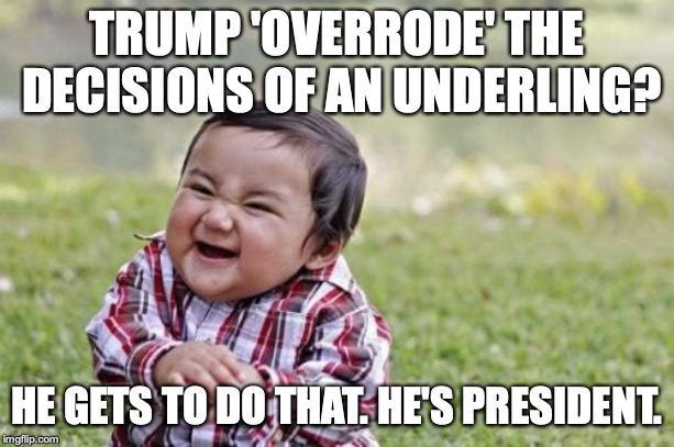 Missing from the story : exactly how Trump's actions were illegal. Probably because the actions are not illegal. | TRUMP 'OVERRODE' THE DECISIONS OF AN UNDERLING? HE GETS TO DO THAT. HE'S PRESIDENT. | image tagged in 2019,trump,liberals,idiots,liars,fake news | made w/ Imgflip meme maker